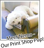 Nemo - Our Print Shop Pup